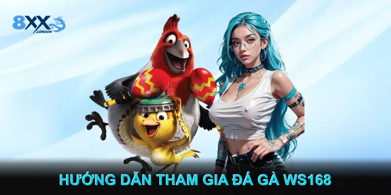 Hướng Dẫn Tham Gia Cá Cược Đá Gà WS168